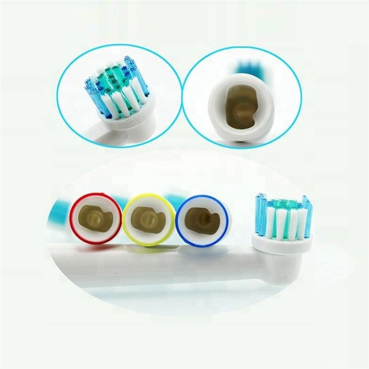 Rotating Toothbrush Head